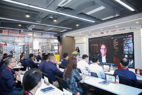 产品 服务 创新三箭齐发 瑞美以实力铸就信赖，引领行业未来